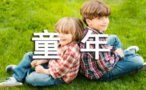  小学教师个人工作述职报告