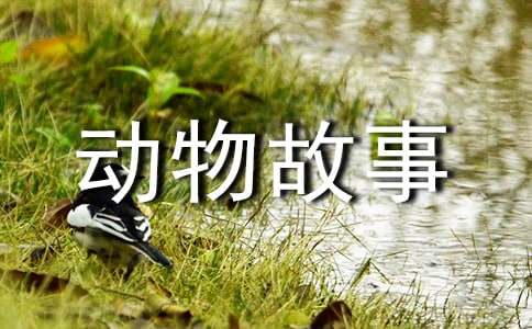 大学社团社长简要述职报告(通用4篇)